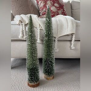 Pier 1 Bottle Brush Trees - Set of 2